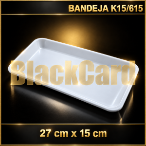 BANDEJA EXPANDIDO K15/615 (27 x 15 cm)