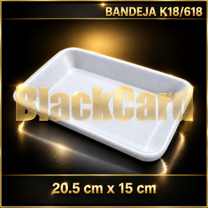 BANDEJA EXPANDIDO K18/618 (20,5 x 15 cm)