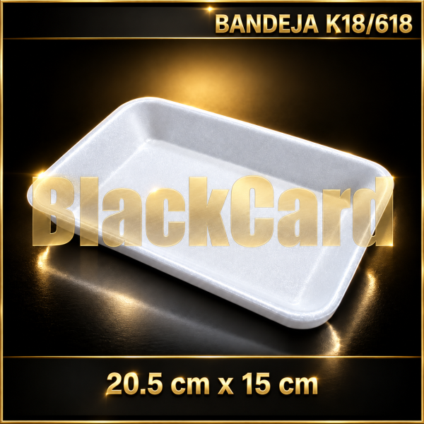 BANDEJA EXPANDIDO K18/618 (20,5 x 15 cm)