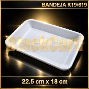 BANDEJA EXPANDIDO K19/619 (22,5 x 18 cm)