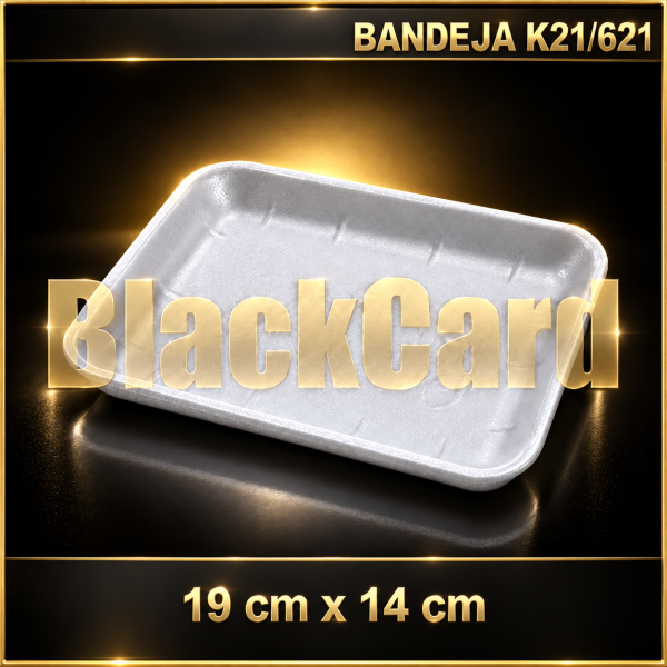 BANDEJA EXPANDIDO K21/621 (19 x 14 cm)