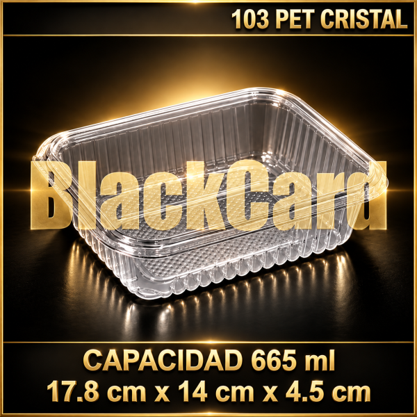 BANDEJA PLASTICO PET 103 (CRISTAL)