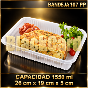 BANDEJA PP 107 (26 x 19 x 5)