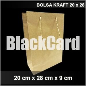 Bolsa carton 20×28
