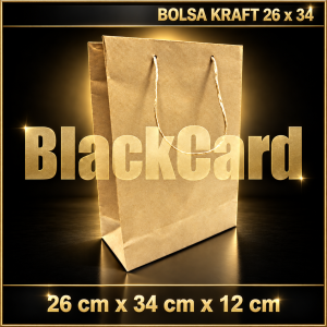 BOLSA CARTON KRAFT (26 x 34 x 12 cm)