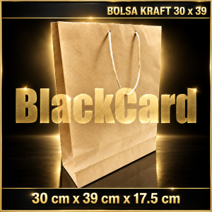 BOLSA CARTON KRAFT (30 x 39 x 17.5 cm)