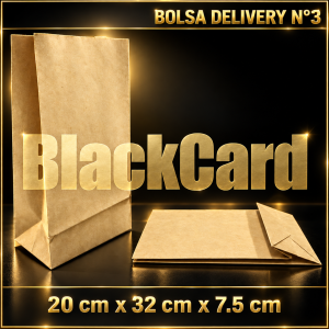 BOLSA DELIVERY N°3 (20 x 32 x 7,5)