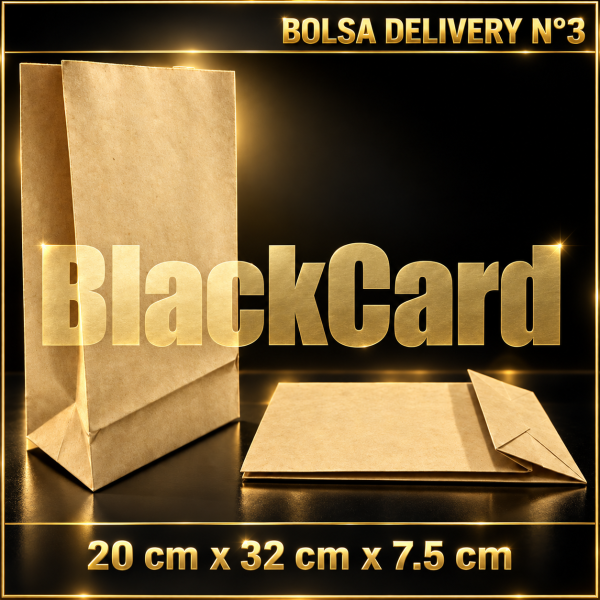 BOLSA DELIVERY N°3 (20 x 32 x 7,5)