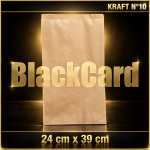 BOLSA KRAFT N° 10 x 100 (24 x 38)