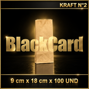 BOLSA KRAFT N° 2 x 100 (9 x 18)