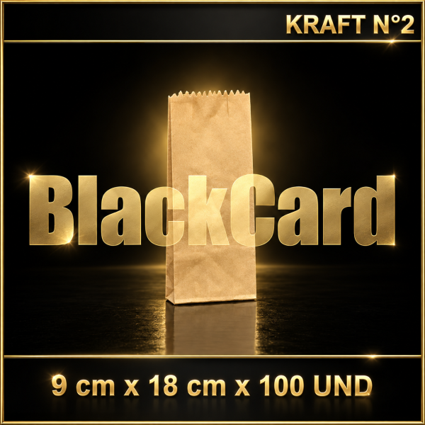 BOLSA KRAFT N° 2 x 100 (9 x 18)