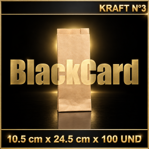 BOLSA KRAFT N° 3 x 100 (10,5 x 24,5)