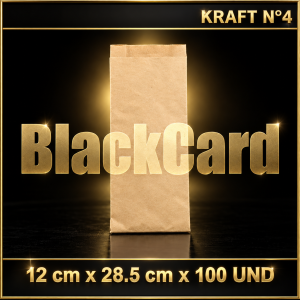 BOLSA KRAFT N° 4 x 100 (12 x 28,5)