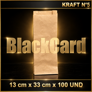 BOLSA KRAFT N° 5 x 100 (12 x 33)