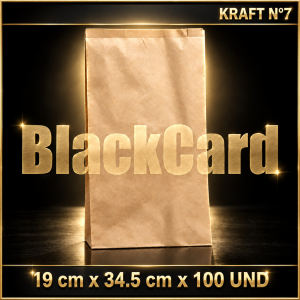 BOLSA KRAFT N° 7 x 100 (19 x 34,5)