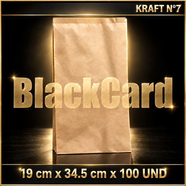BOLSA KRAFT N° 7 x 100 (19 x 34,5)