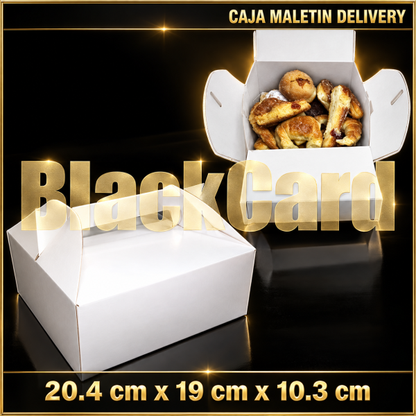 CAJA MALETIN DELIVERY - FACTURAS (20,4cm x 19cm x 10,3cm)