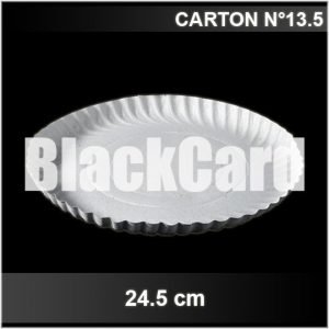 comprar Bandeja de Carton N°13,5