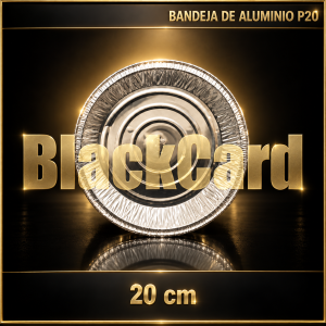 PLATO ALUMINIO P20 (RED.)
