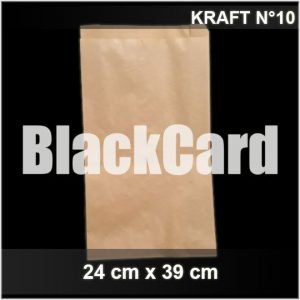 Bolsa Kraft N°10 x 100 und