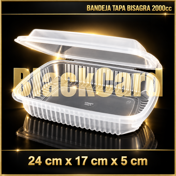BANDEJA TAPA BISAGRA PP 2000cc (24 x 17 x5)