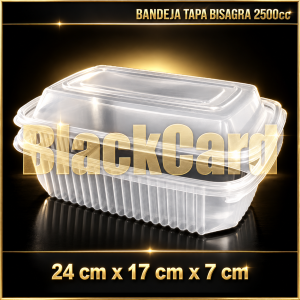 BANDEJA TAPA BISAGRA PP 2500cc (24 x 17 x 7)