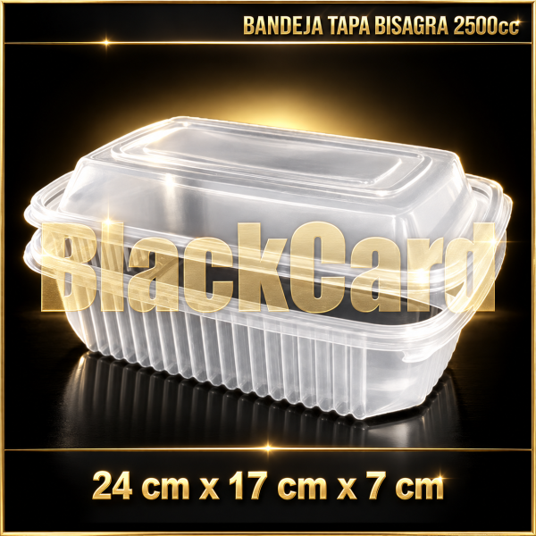 BANDEJA TAPA BISAGRA PP 2500cc (24 x 17 x 7)