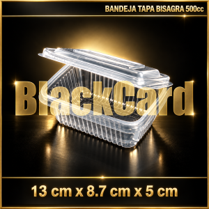 BANDEJA TAPA BISAGRA PP 500cc (13 x 8,7 x 5)