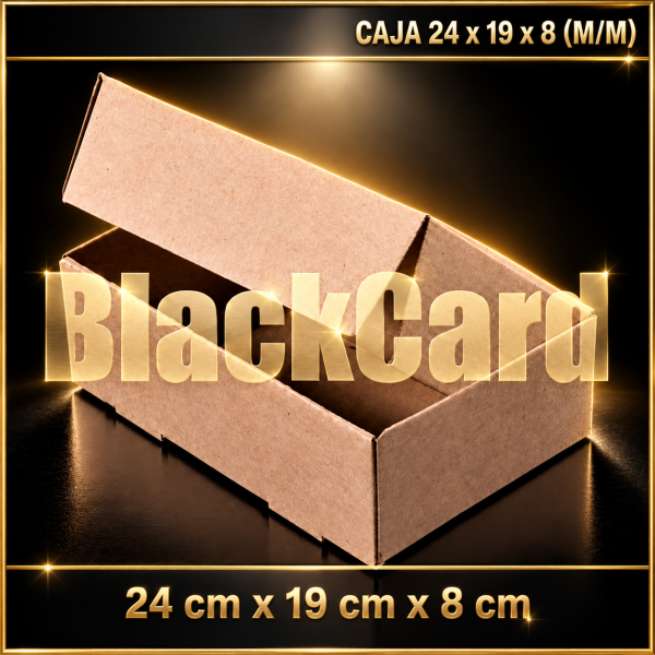 CAJA 24x19x8 (M/M)