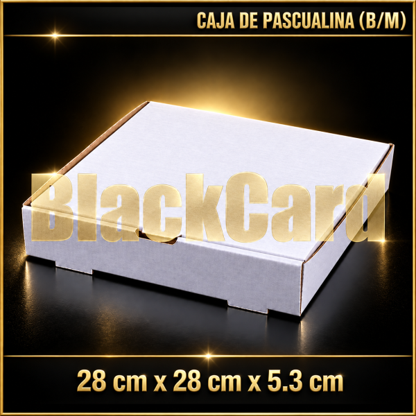 CAJAS DE PASCUALINA (B/M) (28x28x5,3)