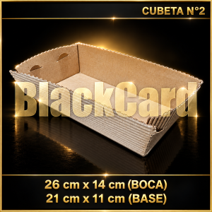 CUBETAS N° 2 x 100 (ÑOQUERAS) (21 CM x 11 CM BASE)