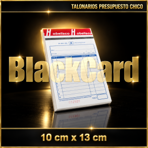 TALONARIOS PRESUPUESTO CHICO (10x13)