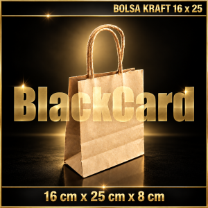 BOLSA CARTON KRAFT (16 x 25 x 8 cm)