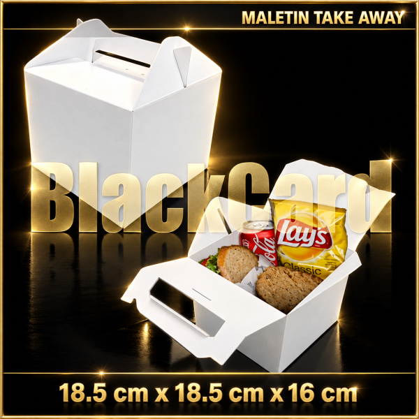 MALETIN TAKE AWAY (18,5 x 18,5 x 16)