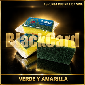 ESPONJA COCINA LISA SINA