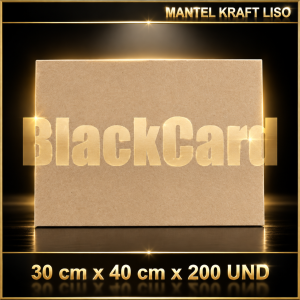 MANTEL KRAFT LISO 30x40 x 200 UND