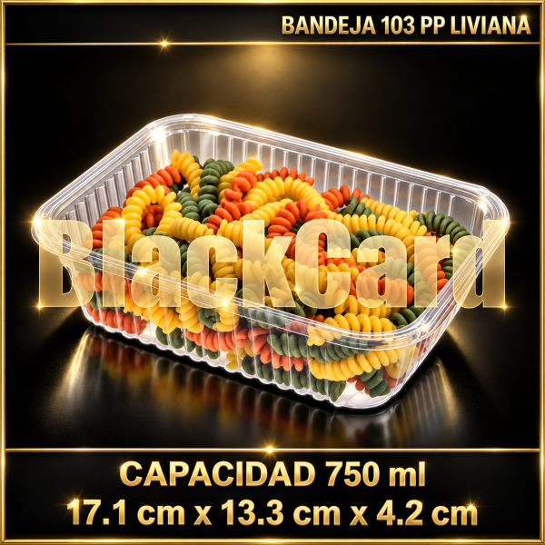 BANDEJA PLASTICO 103 PP LIVIANA