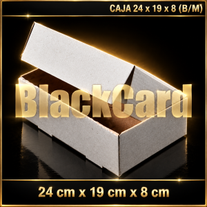 CAJA 24x19x8 (B/M)