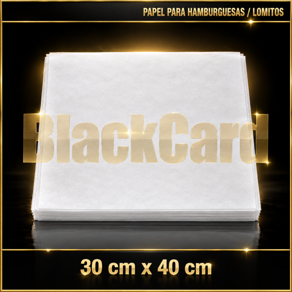 PAPEL PARA HAMBURGUESAS 30x40 x kg