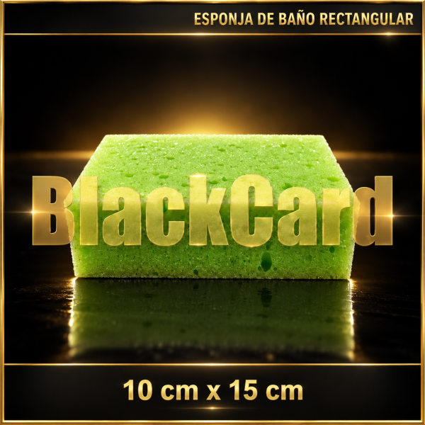 ESPONJA DE BAÑO RECTANGULAR SINA