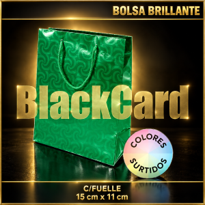 BOLSA BRILLANTE C/FUELLE 15x11cm.