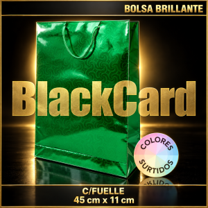 BOLSA BRILLANTE C/FUELLE 45x32cm