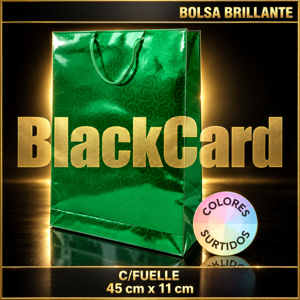 BOLSA BRILLANTE C/FUELLE 45x32cm