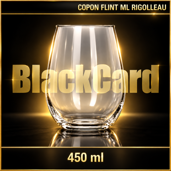 COPON FLINT 450 ML RIGOLLEAU
