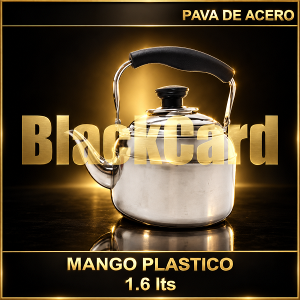 PAVA DE ACERO MANGO PLASTICO 1.6LTS