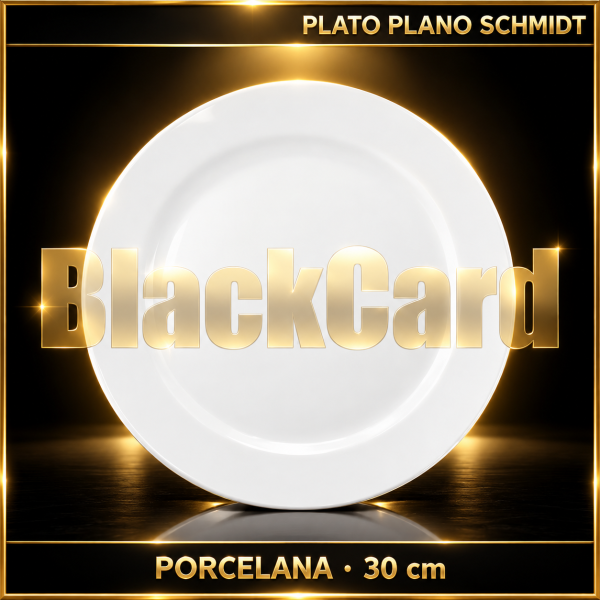 SCHMIDT-PLATO PLANO PRESENTACION 30 CM