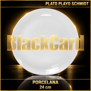 SCHMIDT-PLATO PLAYO 24CM