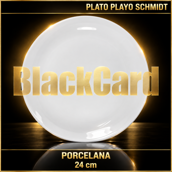 SCHMIDT-PLATO PLAYO 24CM