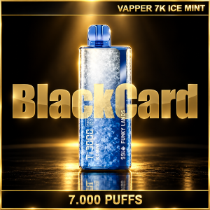 VAPPER 7K ICE MINT