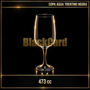 COPA AGUA TRENTINO NEGRA 473CC